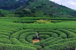 山罗旅游推广活动在首都河内举行