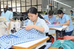 对EVFTA“高速公路”寄予厚望