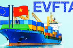 坚韧不拔 参加EVFTA