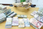 越南侨汇收入形势喜人