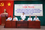 需要采取有效的长期措施 解决九龙江三角洲干旱和盐渍化情况