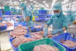 美国、中国和日本是越南农林水产品三大出口市场
