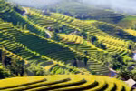 河江省美景