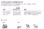 图表新闻：芹耶红树林生物圈保护区