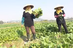 附图