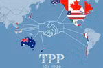 附图：TPP的11个参加国将于下周在日本召开会议。（图片来源：越通社）