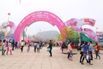 2016年樱花—安子黄梅花节​。（图片来源：因特网）