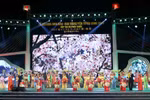  2017年樱花—安子黄梅花节在下龙市拉开帷幕​ 。（图片来源：因特网）