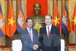 国家主席陈大光会见柬埔寨首相洪森。（图片来源：越通社）