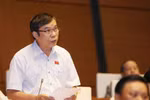国会代表发表意见（图片来源：越通社）