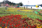 大叻市鲜花（图片来源：越通社）
