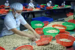附图（图片来源：越通社）