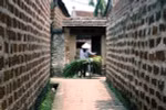 唐林古村