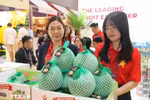 越南绿皮柚子亮相中国香港亚洲国际果蔬展。图自越通社