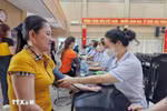 附图。图自越通社