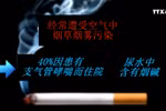 儿童——最可怜的被动吸烟者