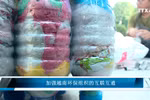 加强越南环保组织的互联互通 