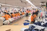 中美若爆发贸易战 越南或将渔翁得利