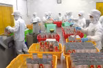 胡志明市发挥国家大货物生产中心的作用