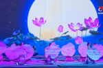 第31届东南亚运动会盛大的开幕式在即