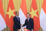 越南国家主席武文赏与印尼总统佐科•维多多举行会谈