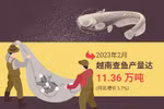 图表新闻：中国边境口岸恢复通关 越南查鱼出口前景广阔