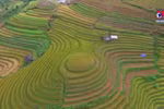 世界权威在线旅游信息网站推广越南领先旅游目的地