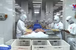 中美日三国增加越南水产品进口量