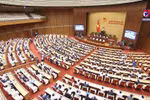 旅德越南知识分子对第十五届国会寄予厚望