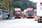 谅山省多管齐下确保销往中国的新鲜水果顺畅通关