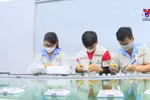 北宁省各家企业安全适应疫情 促进生产经营稳步发展