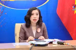 越南外交部以视频形式举行例行记者会