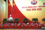 越共十三大参会代表就各项文件草案深入交换意见