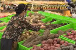 胡志明市多措并举保障居民生活物资供应