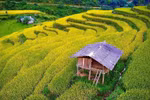 组图：高平省美丽而尚未开发的旅游景点