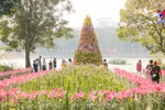 2024年河内旅游节即将举行
