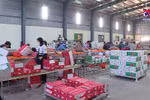 着力扩大越南农产品出口市场 打造新增长引擎