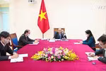 越南与澳大利亚两国总理通电话 