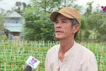 岘港市花农忙碌为春节的鲜花供应做好准备