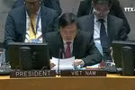 越南主持联合国安理会关于马里局势的会议