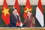 越南国会主席王廷惠与印尼国会议长普安举行会谈