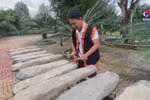 来庆和省倾听穿越千年的庆山石琴声音