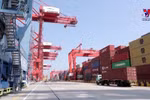 IMF专家：2023-2024年越南是全球经济亮点之一