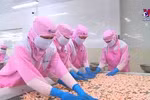 加工贮藏技术为提高农水产品价值做出贡献
