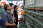 河内市斗鱼‘环保’养殖场