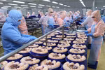 越南对美国水产品出口额达近7亿美元 