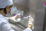 越南大力推进科技产品商业化