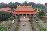 探寻古老猫寺的独特魅力