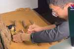 越南年轻制片者在电影制作中助力环保