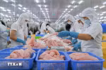 今年前8月农林水产品贸易顺差扩大68%以上。图自越通社